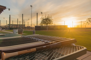 viper wood bats spring training