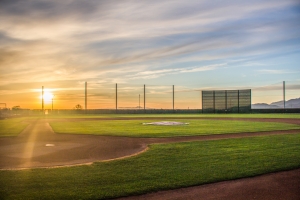 viper bats at spring training